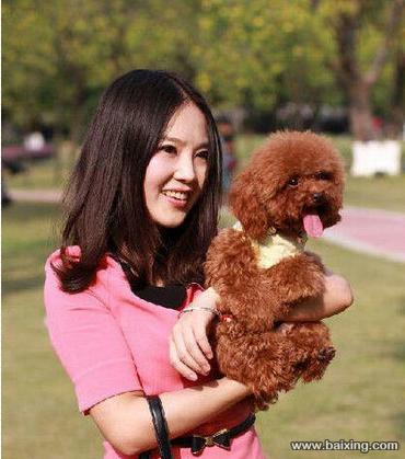 大型犬舍直销泰迪 博美 金毛 拉多 哈士奇包养活